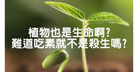 植物是生命嗎